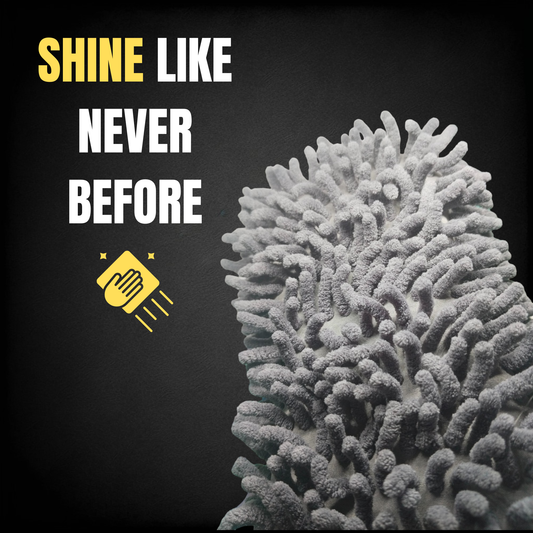 Sponge Cleaner